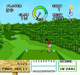 Namcot Open (Japan) In game screenshot